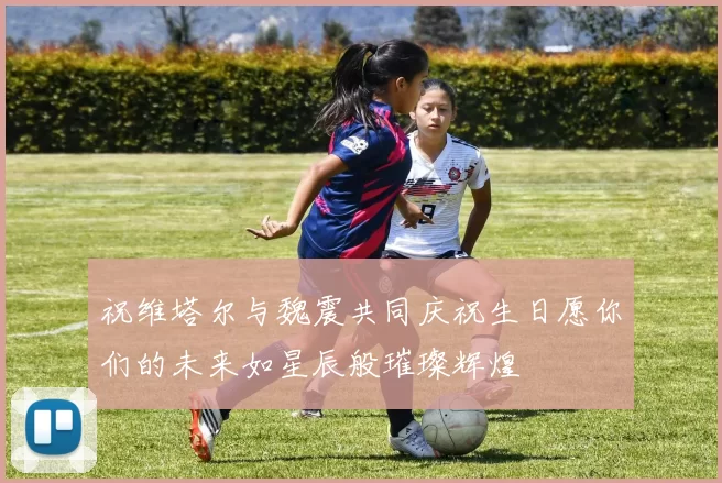 祝维塔尔与魏震共同庆祝生日愿你们的未来如星辰般璀璨辉煌